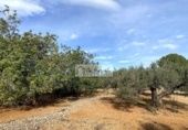 Terreno no urbanizable en venta en la España, l'Ampolla, ref: TR198740 foto