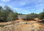 Terreno no urbanizable en venta en la España, l'Ampolla, ref: TR198740 foto