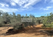 Terreno no urbanizable en venta en la España, l'Ampolla, ref: TR198740 foto