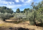 Terreno no urbanizable en venta en la España, l'Ampolla, ref: TR198740 foto