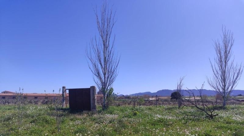 Murcia - Caravaca de la Cruz - 9600m2