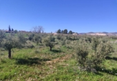 Terreny no urbanitzable en venda a la España, Caravaca de la Cruz, ref.: TR241182 foto