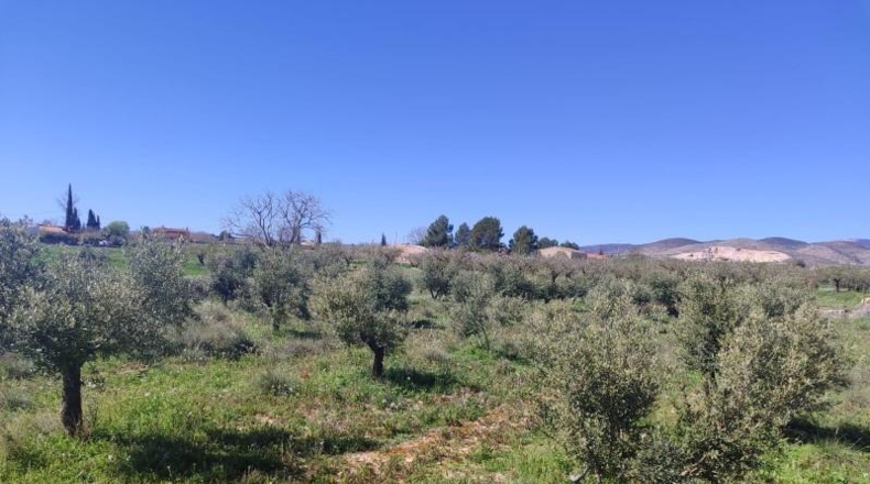 Murcia - Caravaca de la Cruz - 9600m2