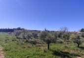 Terreny no urbanitzable en venda a la España, Caravaca de la Cruz, ref.: TR241182 foto