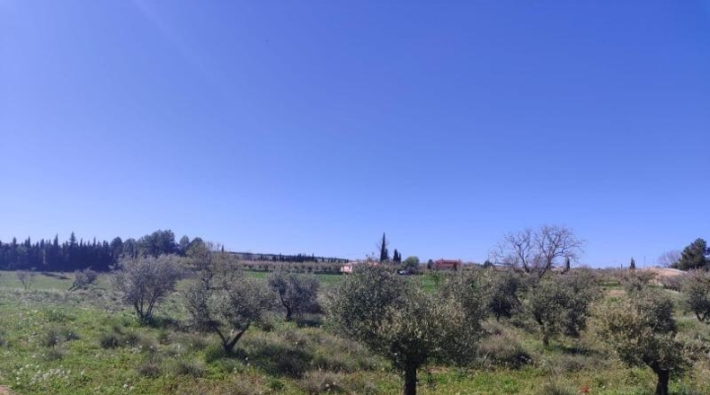 Murcia - Caravaca de la Cruz - 9600m2