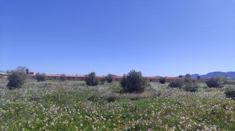 Murcia - Caravaca de la Cruz - 9600m2