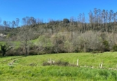 Non-developable land for sale on España, Roiz, ref: TR218215 photo