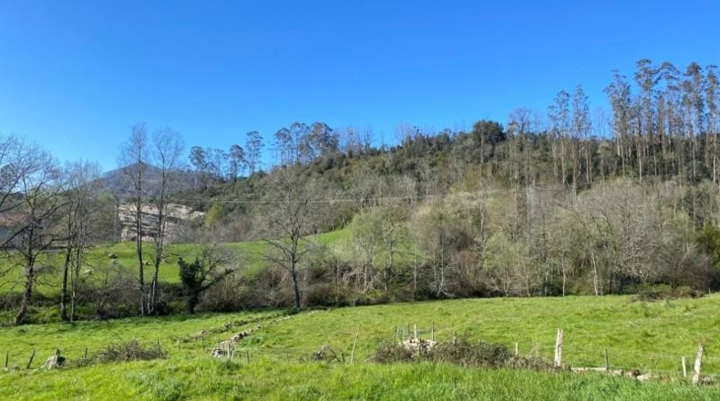 Cantabria - Roiz - 2714m2