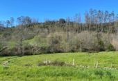 Non-developable land for sale on España, Roiz, ref: TR218215 photo