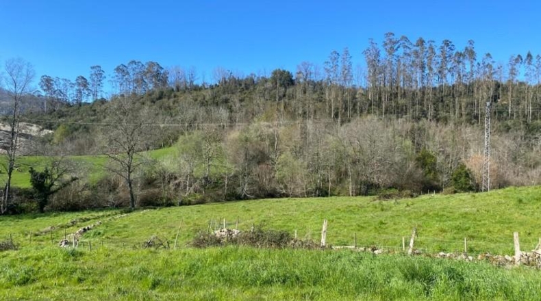 Cantabria - Roiz - 2714m2