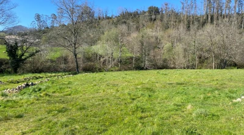 Cantabria - Roiz - 2714m2