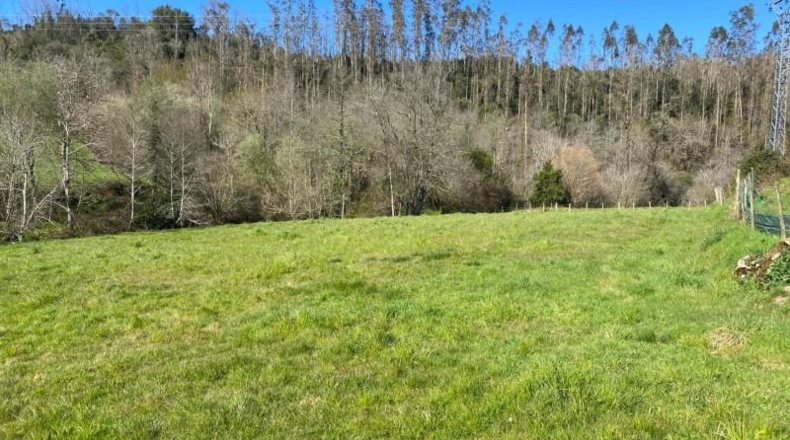 Cantabria - Roiz - 2714m2
