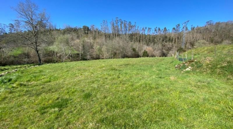 Cantabria - Roiz - 2714m2