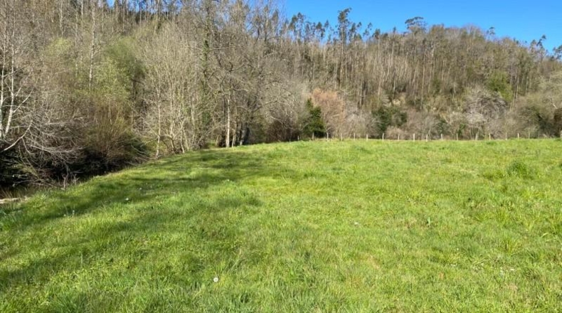 Cantabria - Roiz - 2714m2