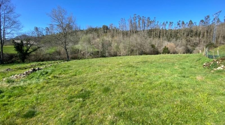Cantabria - Roiz - 2714m2