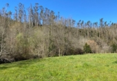 Non-developable land for sale on España, Roiz, ref: TR218215 photo