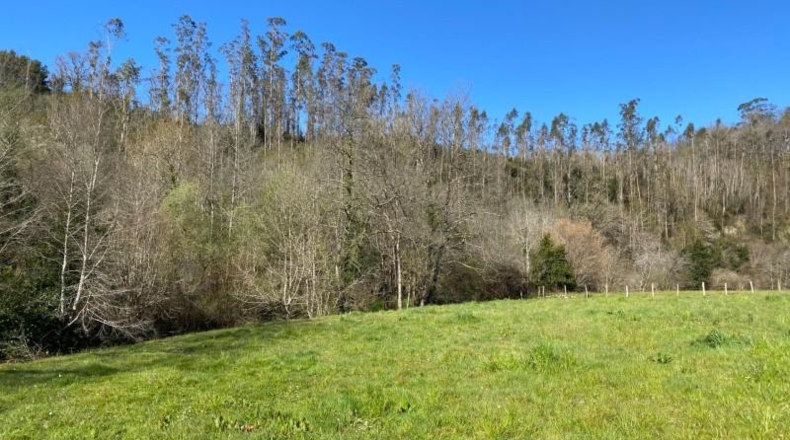 Cantabria - Roiz - 2714m2
