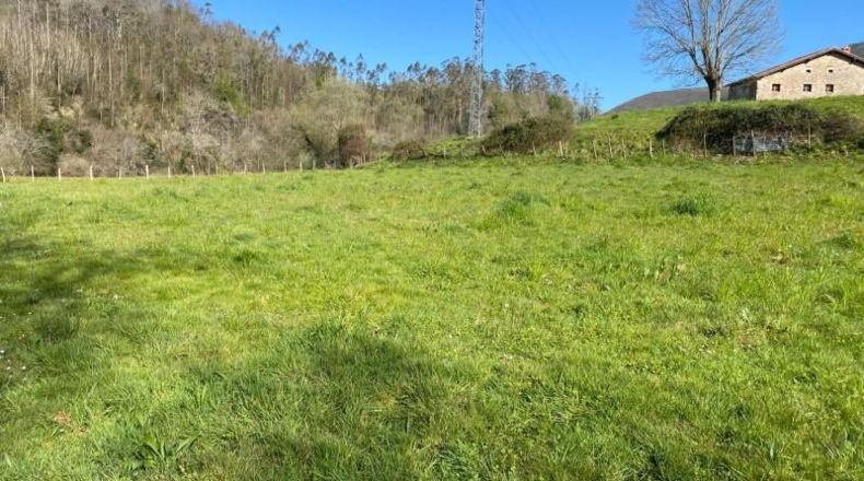 Cantabria - Roiz - 2714m2