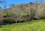 Non-developable land for sale on España, Roiz, ref: TR218215 photo