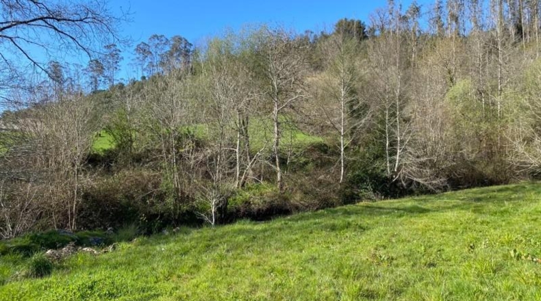 Cantabria - Roiz - 2714m2