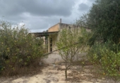 Land suitable for development for sale on España, Jacarilla, ref: TR218911 photo