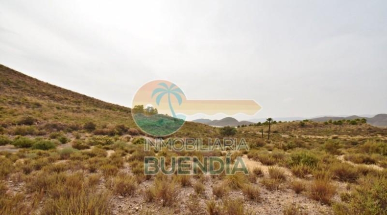 Murcia - Mazarrón - 11761m2