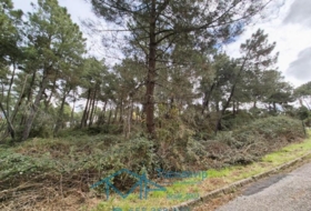 Cadalso de los Vidrios 1901&nbsp;m²