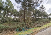 Suelo urbano en venta en la España, Cadalso de los Vidrios, ref: TR235963 foto