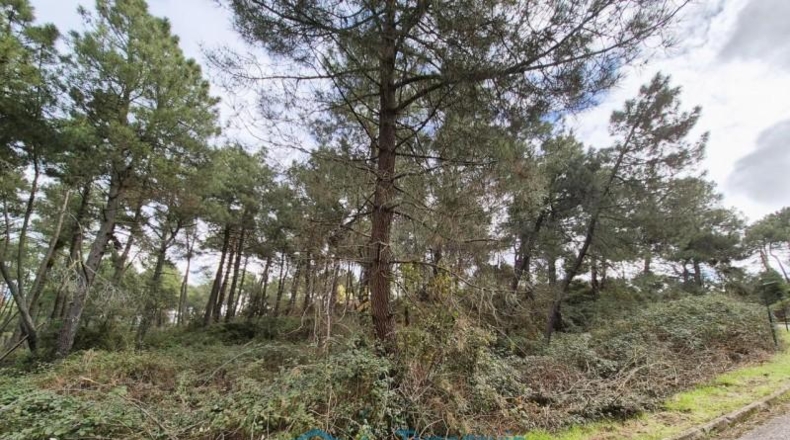 Community of Madrid - Cadalso de los Vidrios - 1901m2