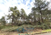 Suelo urbano en venta en la España, Cadalso de los Vidrios, ref: TR235963 foto