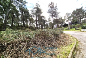Cadalso de los Vidrios 1901&nbsp;m²