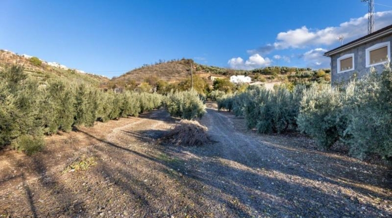 Granada - Iznalloz - 1658m2