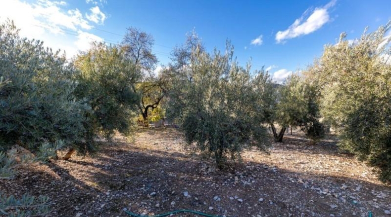 Granada - Iznalloz - 1658m2