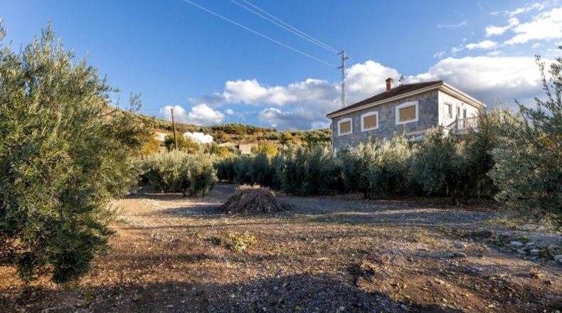 Granada - Iznalloz - 1658m2
