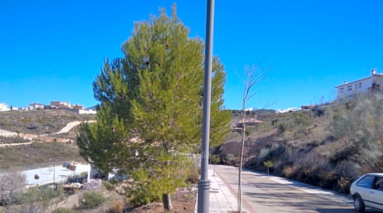 Granada - La Zubia - 750m2