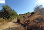 Non-developable land for sale on España, Gerena, ref: TR125969 photo
