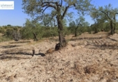 Non-developable land for sale on España, Gerena, ref: TR125969 photo