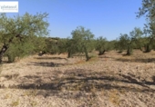 Non-developable land for sale on España, Gerena, ref: TR125969 photo