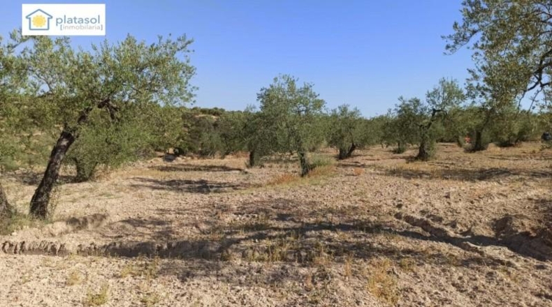 Sevilla - Gerena - 9900m2