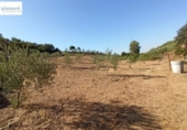 Non-developable land for sale on España, Gerena, ref: TR125969 photo