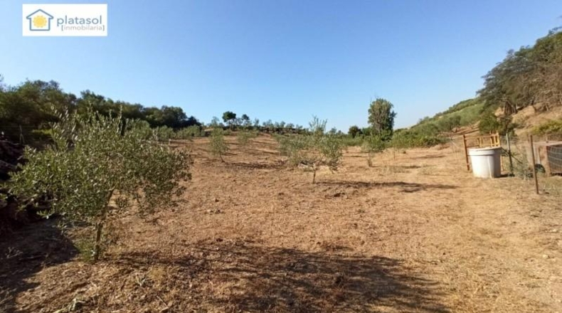 Sevilla - Gerena - 9900m2