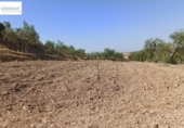 Non-developable land for sale on España, Gerena, ref: TR125969 photo