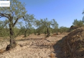 Non-developable land for sale on España, Gerena, ref: TR125969 photo