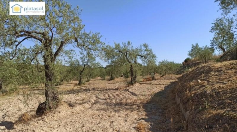 Sevilla - Gerena - 9900m2