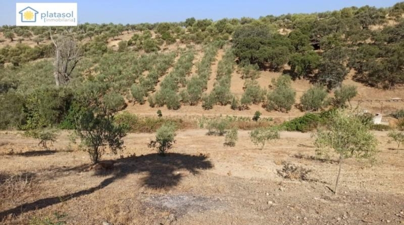 Sevilla - Gerena - 9900m2