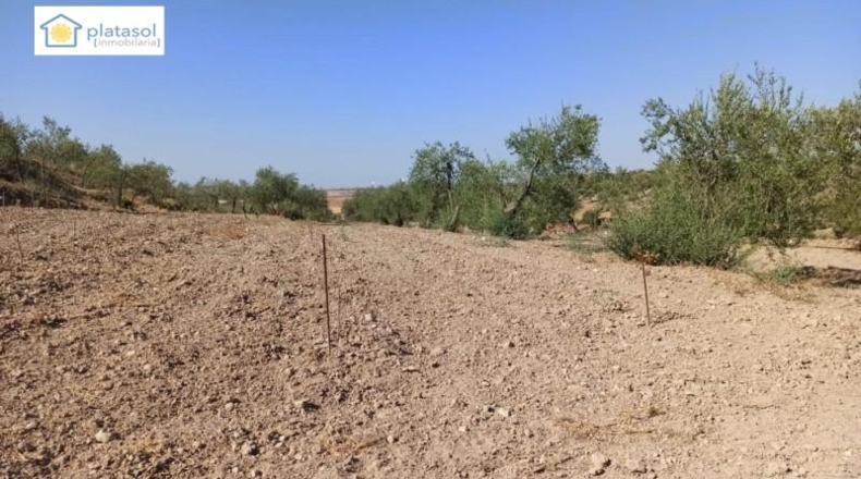 Sevilla - Gerena - 9900m2