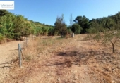Non-developable land for sale on España, Gerena, ref: TR125969 photo