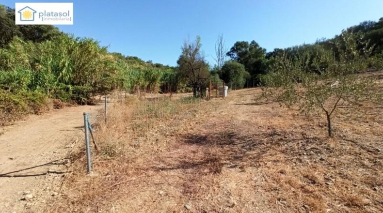 Sevilla - Gerena - 9900m2