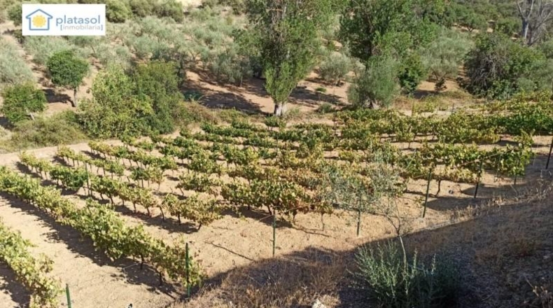 Sevilla - Gerena - 9900m2
