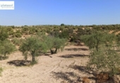 Non-developable land for sale on España, Gerena, ref: TR125969 photo